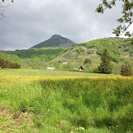 Villa Chalet Avec Vue Panoramique Sur Le Plomb Du Cantal à Saint-Jacques-des-Blats Extérieur photo