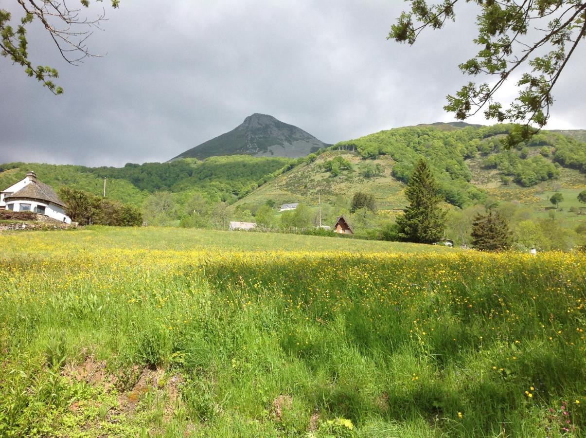 Villa Chalet Avec Vue Panoramique Sur Le Plomb Du Cantal à Saint-Jacques-des-Blats Extérieur photo