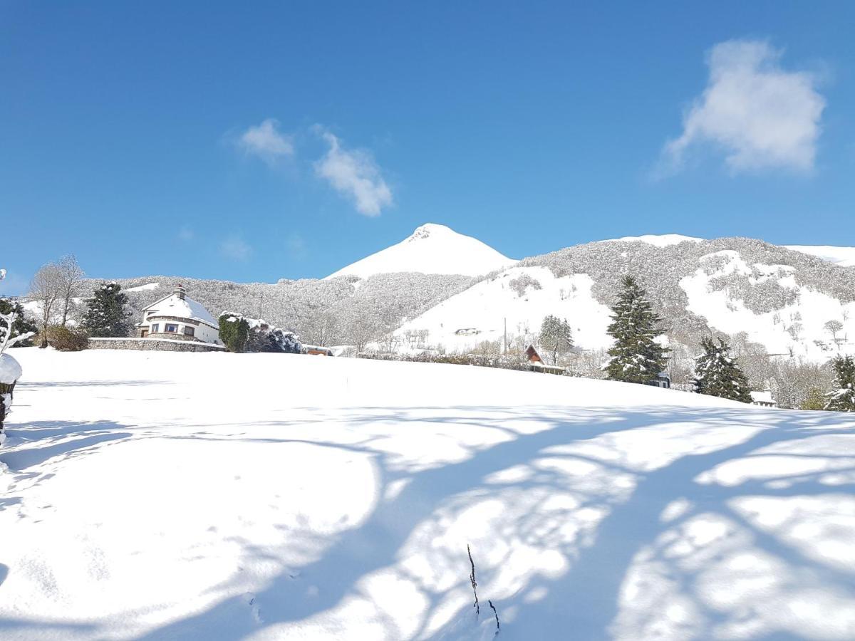 Villa Chalet Avec Vue Panoramique Sur Le Plomb Du Cantal à Saint-Jacques-des-Blats Extérieur photo