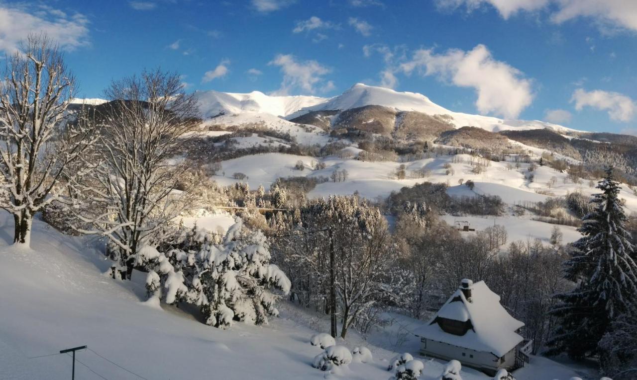 Villa Chalet Avec Vue Panoramique Sur Le Plomb Du Cantal à Saint-Jacques-des-Blats Extérieur photo