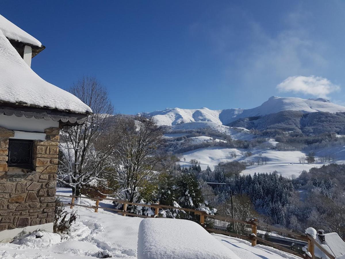 Villa Chalet Avec Vue Panoramique Sur Le Plomb Du Cantal à Saint-Jacques-des-Blats Extérieur photo