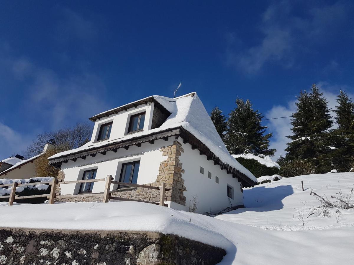 Villa Chalet Avec Vue Panoramique Sur Le Plomb Du Cantal à Saint-Jacques-des-Blats Extérieur photo