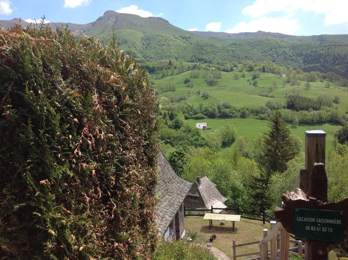 Villa Chalet Avec Vue Panoramique Sur Le Plomb Du Cantal à Saint-Jacques-des-Blats Extérieur photo