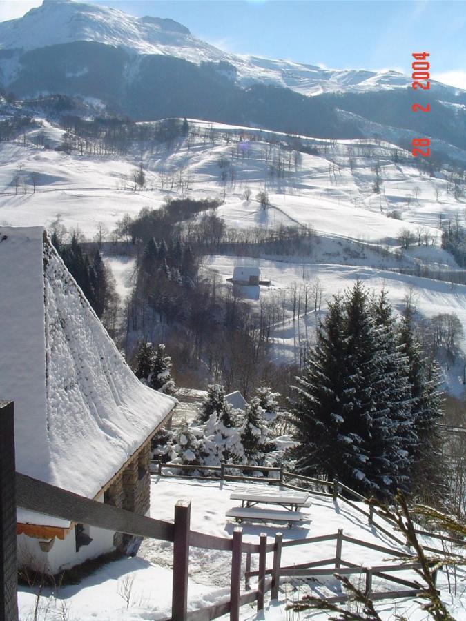 Villa Chalet Avec Vue Panoramique Sur Le Plomb Du Cantal à Saint-Jacques-des-Blats Extérieur photo