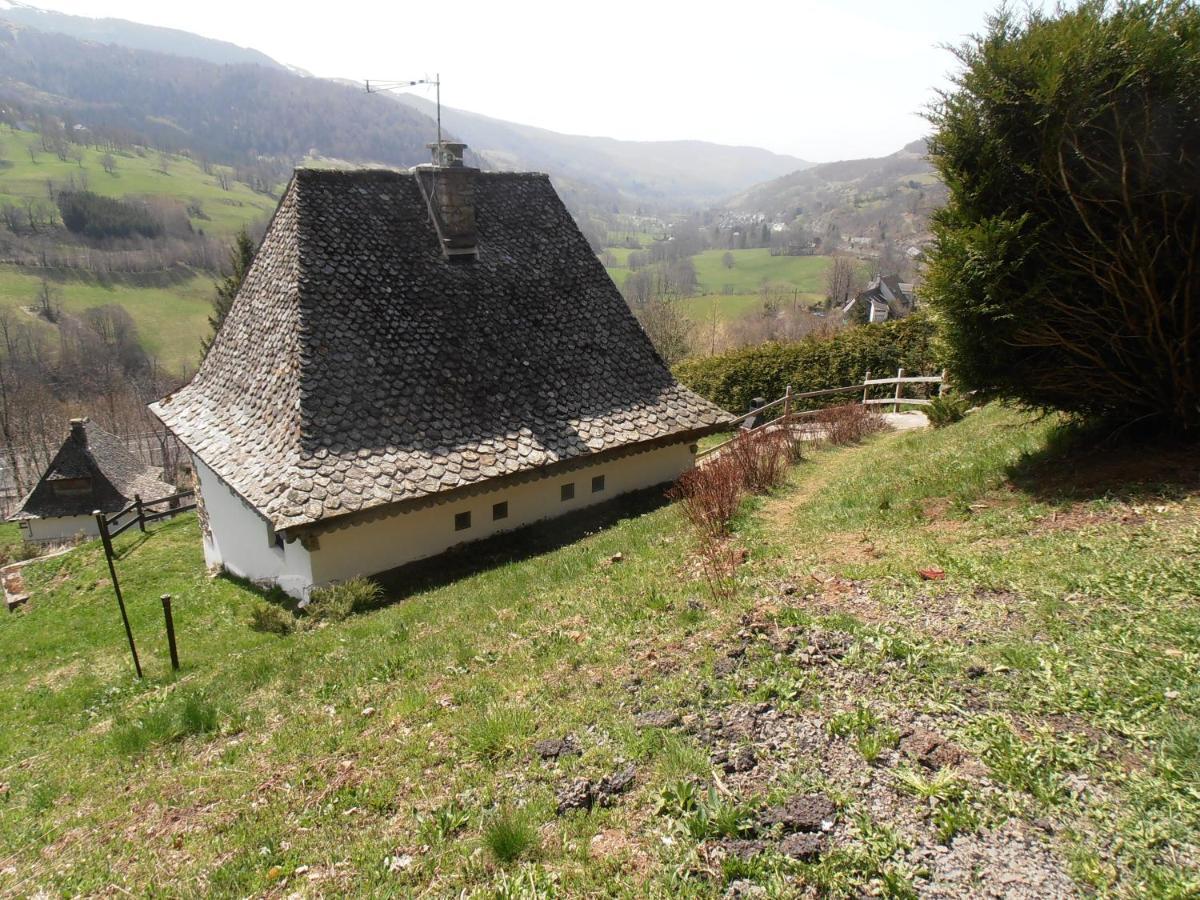 Villa Chalet Avec Vue Panoramique Sur Le Plomb Du Cantal à Saint-Jacques-des-Blats Extérieur photo