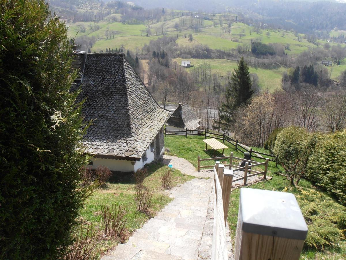 Villa Chalet Avec Vue Panoramique Sur Le Plomb Du Cantal à Saint-Jacques-des-Blats Extérieur photo