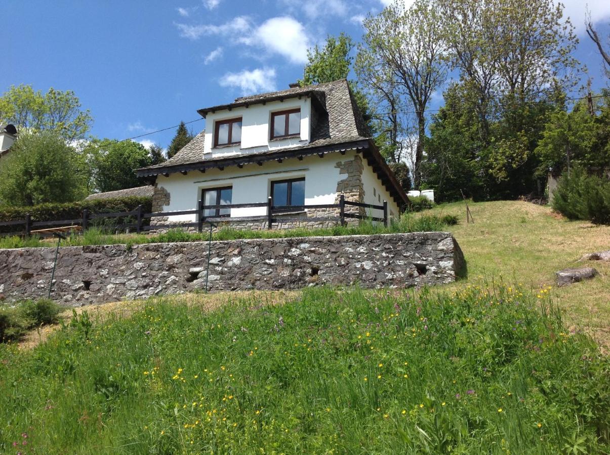 Villa Chalet Avec Vue Panoramique Sur Le Plomb Du Cantal à Saint-Jacques-des-Blats Extérieur photo