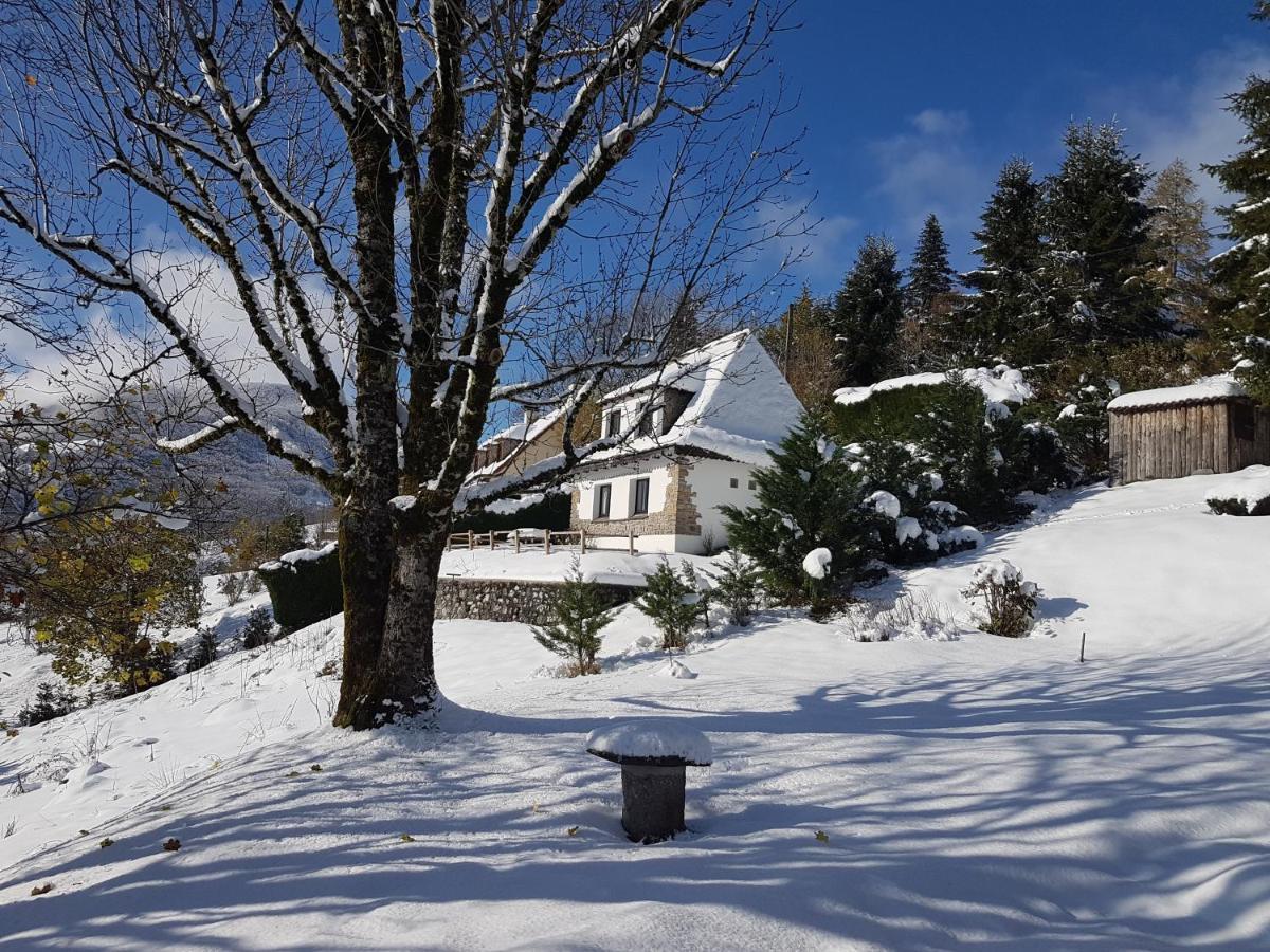 Villa Chalet Avec Vue Panoramique Sur Le Plomb Du Cantal à Saint-Jacques-des-Blats Extérieur photo