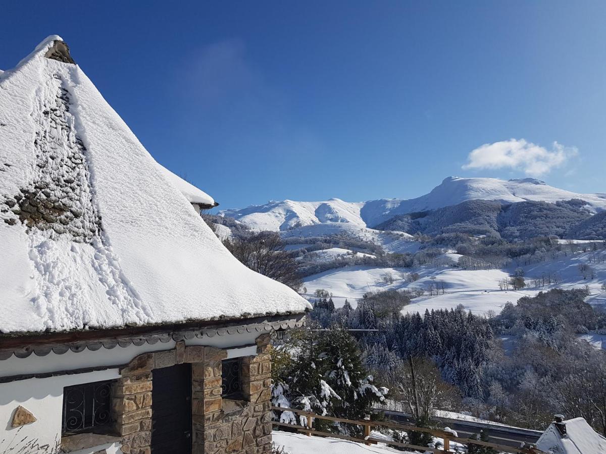 Villa Chalet Avec Vue Panoramique Sur Le Plomb Du Cantal à Saint-Jacques-des-Blats Extérieur photo