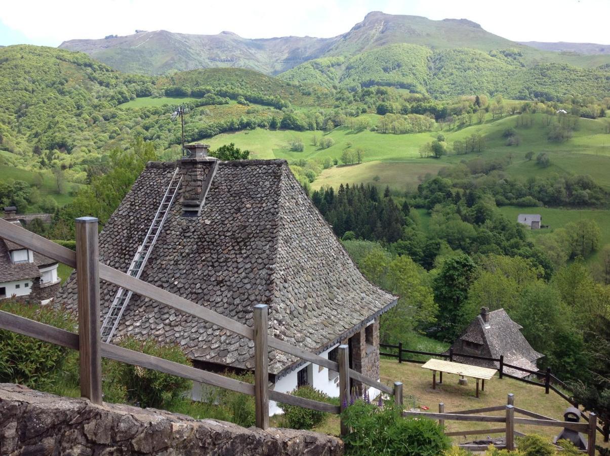 Villa Chalet Avec Vue Panoramique Sur Le Plomb Du Cantal à Saint-Jacques-des-Blats Extérieur photo