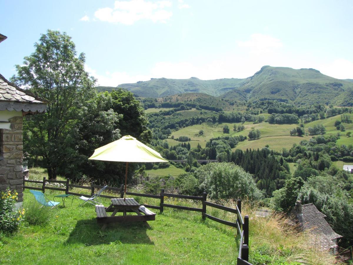 Villa Chalet Avec Vue Panoramique Sur Le Plomb Du Cantal à Saint-Jacques-des-Blats Extérieur photo